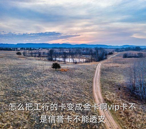 怎么把工行的卡變成金卡啊vip卡不是信譽卡不能透支