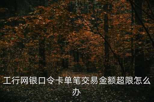 工行網(wǎng)銀口令卡單筆交易金額超限怎么辦