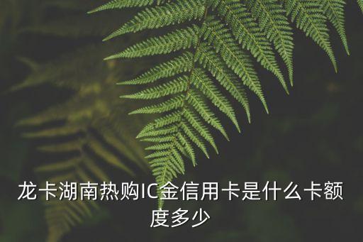 龍卡湖南熱購(gòu)IC金信用卡是什么卡額度多少