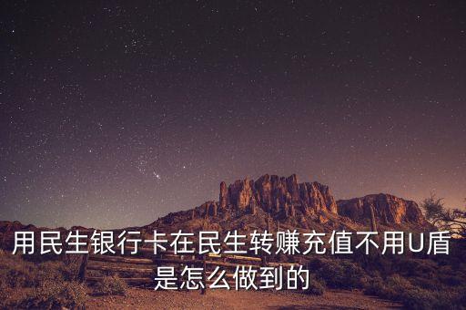 用民生銀行卡在民生轉(zhuǎn)賺充值不用U盾是怎么做到的