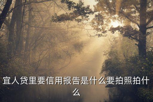 宜人貸征信要怎么填，宜人貸要輸入征信中心用戶(hù)名和密碼是什么