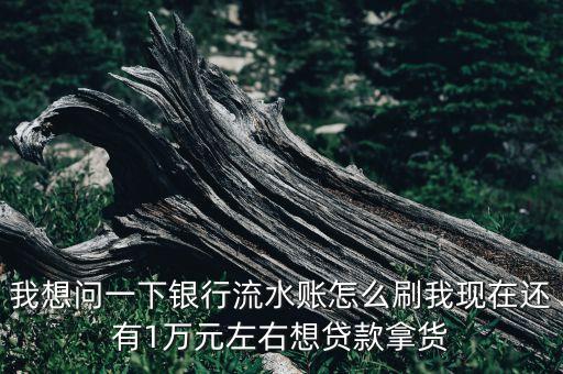 我想問一下銀行流水賬怎么刷我現(xiàn)在還有1萬(wàn)元左右想貸款拿貨