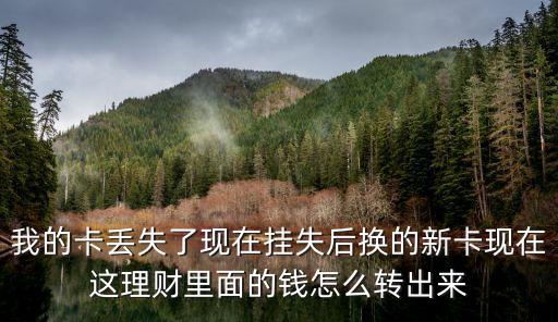 我的卡丟失了現(xiàn)在掛失后換的新卡現(xiàn)在這理財里面的錢怎么轉(zhuǎn)出來