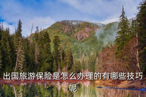 出國旅游保險是怎么辦理的有哪些技巧呢