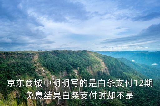 訂單信息填寫錯誤怎么白條免息就沒了，為什么學生白條12期免息券不見了