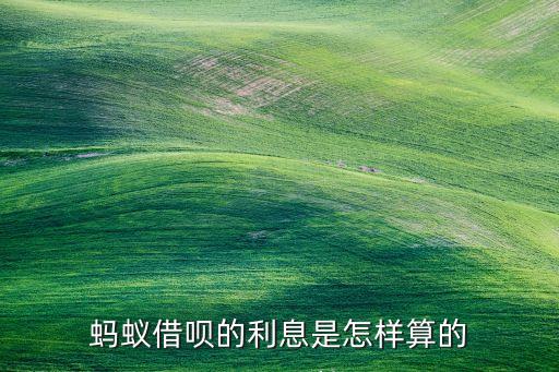 螞蟻借唄月利息怎么算的，螞蟻借唄的利息是怎樣算的