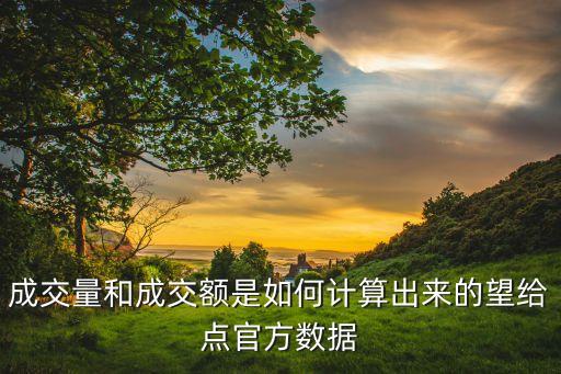 成交量和成交額是如何計算出來的望給點官方數(shù)據(jù)