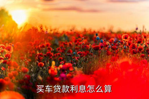 買車貸款利息怎么算