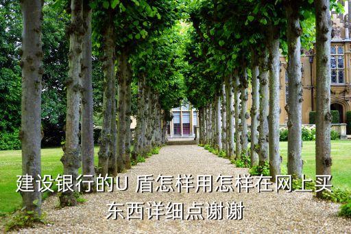 建設(shè)銀行的U 盾怎樣用怎樣在網(wǎng)上買東西詳細點謝謝