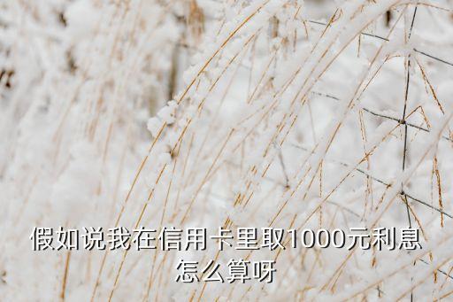 假如說我在信用卡里取1000元利息怎么算呀