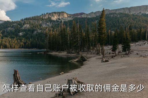 怎樣查看自己賬戶被收取的傭金是多少