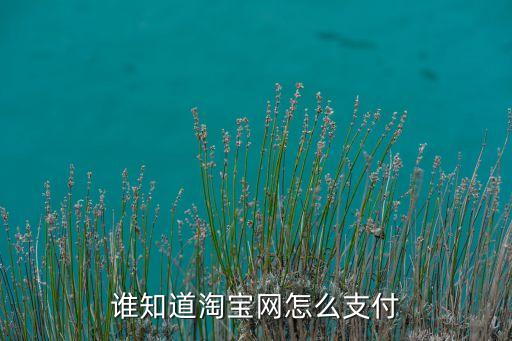 誰知道淘寶網(wǎng)怎么支付