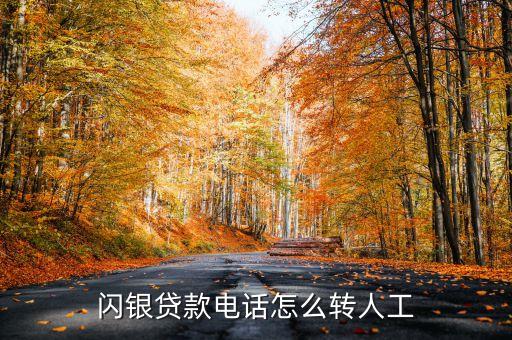 閃銀貸款電話怎么轉(zhuǎn)人工