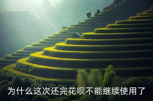 花唄還了怎么關(guān)閉了，你好我的花唄借款還款沒有逾期我這次全部還清后怎么就不能用了