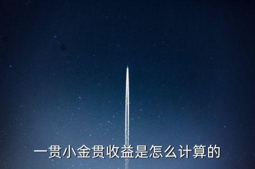 一貫小金貫收益是怎么計(jì)算的