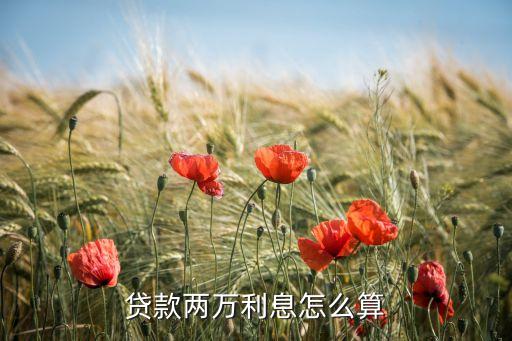 貸款2萬利息怎么算法，貸款兩萬利息怎么算