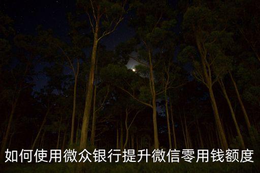 零花錢怎么可以提額度，如何使用微眾銀行提升微信零用錢額度