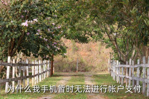 顯示暫時無法支付怎么辦，暫時無法付款該怎么辦