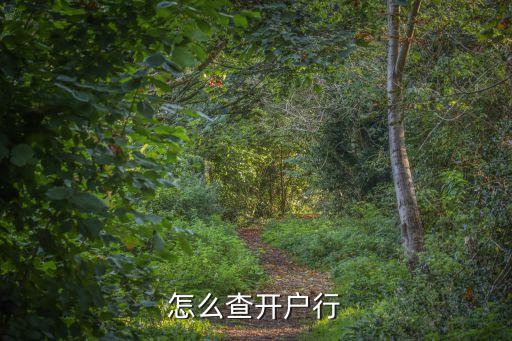 怎么查銀行卡開(kāi)戶(hù)區(qū)，怎么查開(kāi)戶(hù)行