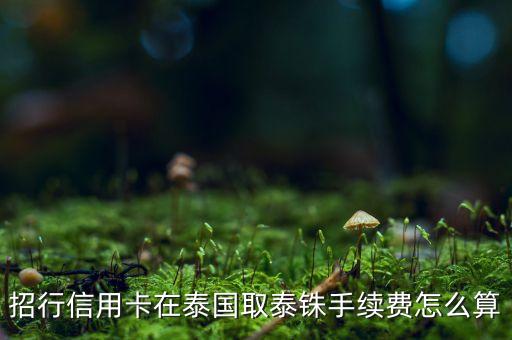 招行信用卡 泰國取現(xiàn)手續(xù)費怎么算的，招行信用卡在泰國取泰銖手續(xù)費怎么算
