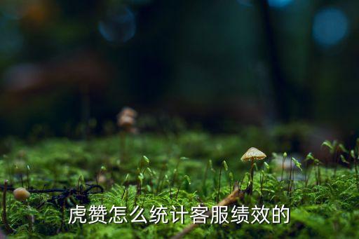 虎贊怎么統(tǒng)計(jì)客服績(jī)效的