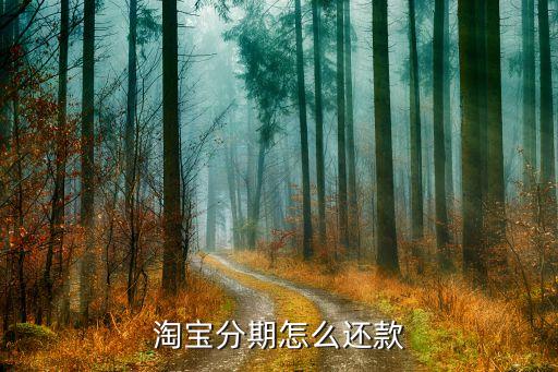 淘寶買東西分期怎么還，淘寶分期怎么還款