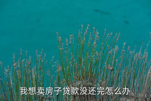 房子抵押貸款的錢還不上 怎么賣，沒還完貸款房子 想賣 怎么辦