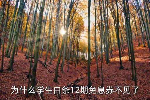 為什么學(xué)生白條12期免息券不見了
