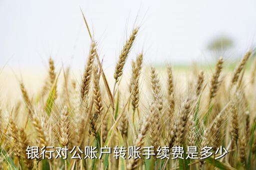在銀行怎么公對公轉(zhuǎn)賬手續(xù)費(fèi)是多少，銀行對公賬戶轉(zhuǎn)賬手續(xù)費(fèi)是多少