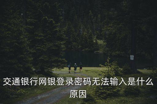 網(wǎng)上交通銀行怎么登陸不了密碼，交通銀行網(wǎng)銀登錄密碼無(wú)法輸入是什么原因
