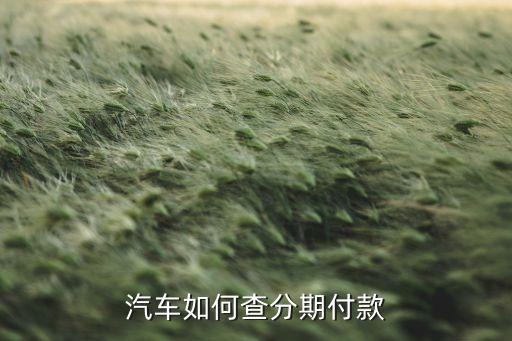 車輛分期怎么查詢，怎么查車是否是分期車