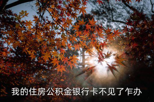 我的住房公積金銀行卡不見了乍辦