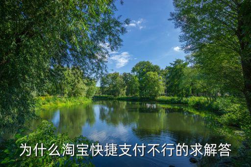 為什么淘寶快捷支付不行的求解答