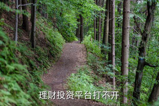 理財網(wǎng)站打不開怎么辦理，理財投資平臺打不開