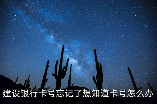 建設銀行卡號忘記了想知道卡號怎么辦