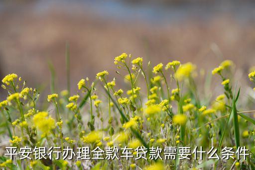 平安全款車怎么貸款，平安銀行購(gòu)車貸款方式主要有幾種