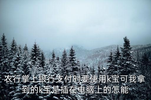 農(nóng)行掌上銀行支付時(shí)要使用k寶可我拿到的k寶是插在電腦上的怎能