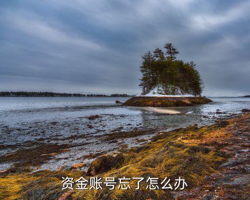 忘了資金賬戶怎么辦，四川國信證券資金賬號忘記了怎么辦