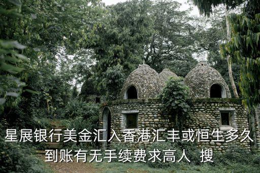 星展銀行轉(zhuǎn)賬怎么選擇，怎樣在新加坡當(dāng)?shù)氐男钦广y行DBS的網(wǎng)上銀行 匯款 到 國內(nèi)的 中國