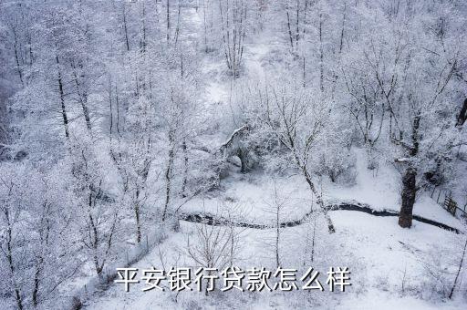 平安 貸款 怎么樣，平安貸款怎么樣