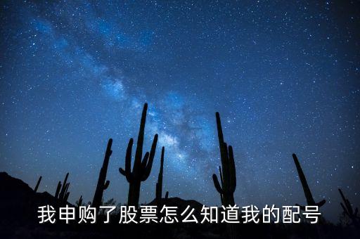 新股申購后怎么查配號，我申購了股票怎么知道我的配號