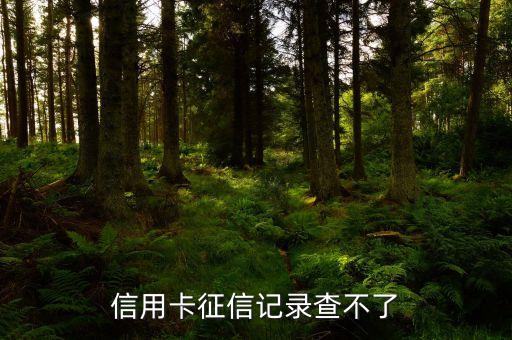 信用卡征信記錄查不了