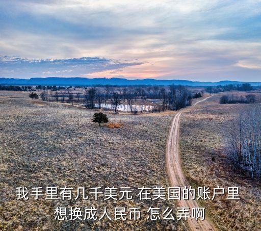 我手里有幾千美元 在美國的賬戶里 想換成人民幣 怎么弄啊