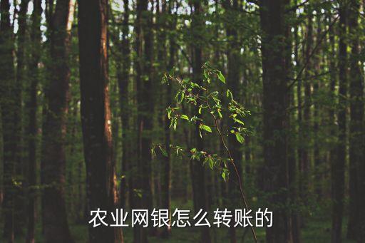 農(nóng)業(yè)銀行網(wǎng)上怎么轉(zhuǎn)賬，農(nóng)業(yè)銀行網(wǎng)上銀行怎樣匯款轉(zhuǎn)帳
