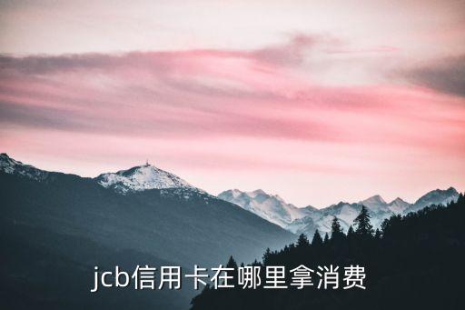 jcb信用卡國內(nèi)怎么刷出來，JCB 單標(biāo)信用卡在國內(nèi)怎么使用