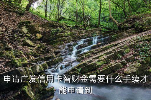 廣發(fā)有財智金怎么申請條件，財智金的申請條件是什么