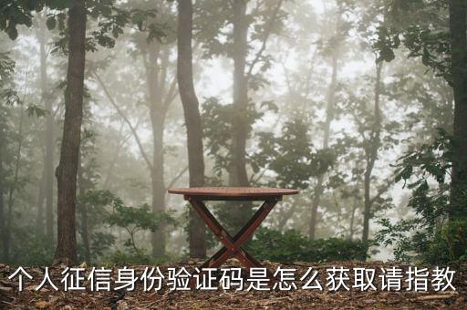 怎么獲取征信驗(yàn)證碼，怎么獲取征信身份驗(yàn)證碼