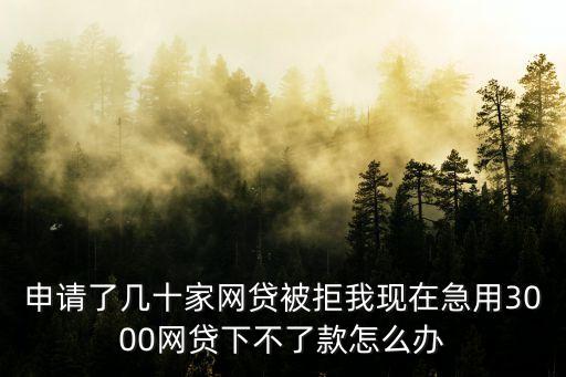 拍拍貸被拒怎么破，申請(qǐng)了幾十家網(wǎng)貸被拒我現(xiàn)在急用3000網(wǎng)貸下不了款怎么辦