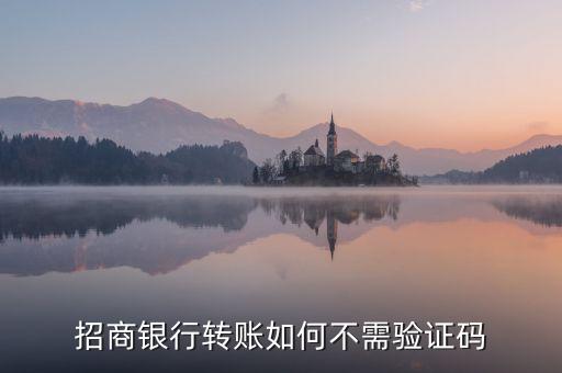 銀行卡怎么轉(zhuǎn)錢不用驗證碼，哪種轉(zhuǎn)賬方式不需要手機驗證碼