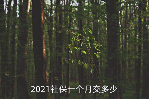 社會(huì)保險(xiǎn)怎么交 交多少，社保一個(gè)月交多少錢